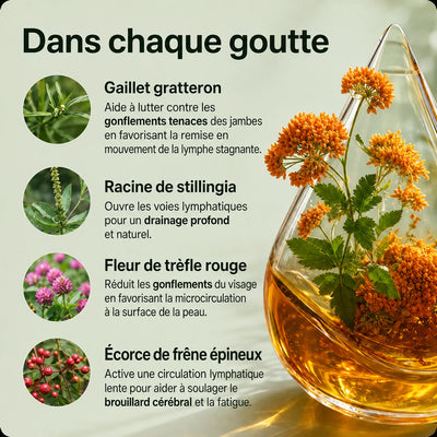 Drainage Lymphatique — Lymphéa