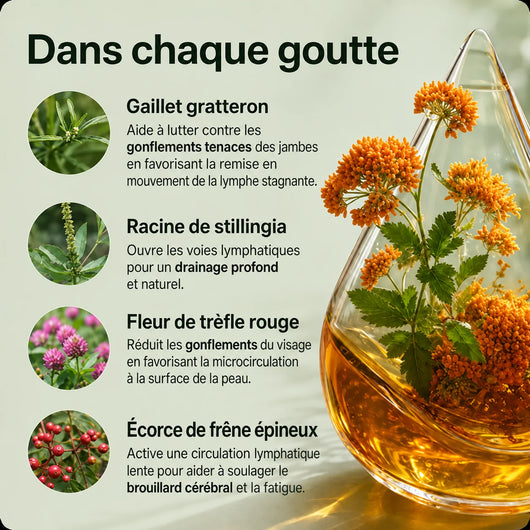 Drainage Lymphatique — Lymphéa